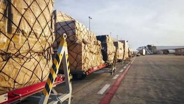 تحرك دولي لحماية النقل الجوي للبريد من “المخاطر الضارة” تحرك دولي لحماية النقل الجوي للبريد من “المخاطر الضارة”