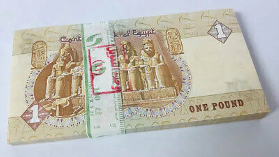 تداول الاقتصاد: أداء الجنيه المصري بين العملات الأكثر نجاحاً مقابل الدولار في يوليو تداول الاقتصاد: أداء الجنيه المصري بين العملات الأكثر نجاحاً مقابل الدولار في يوليو