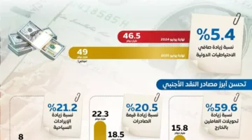 تراجع قيمة الدولار مقابل الجنيه: ما هي الإجراءات التي اتخذتها الحكومة للحد من ارتفاع العملة الأمريكية؟