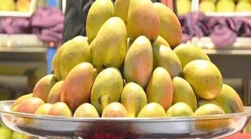 تراجعت الأسعار إلى 15 جنيهًا.. شعبة الخضروات والفاكهة تشرح أسباب الانخفاض