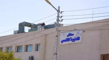 تسمم 5 أفراد، بينهم 3 أطفال، بسبب وجبة في الوادي الجديد