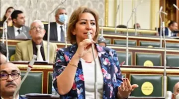 “تصريح غير مبرر” .. نائبة تتحدث عن ارتفاع رسوم مستشفيات الصحة النفسية