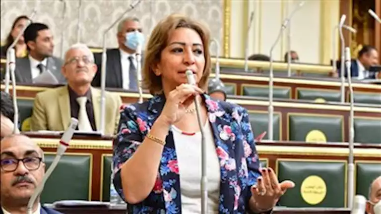 “تصريح غير مبرر” .. نائبة تتحدث عن ارتفاع رسوم مستشفيات الصحة النفسية