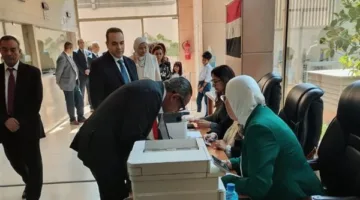 تصويت الجالية المصرية في انتخابات الشيوخ في لبنان والإمارات والدنمارك يتم بشكل منظم وسلس.