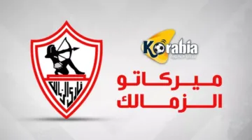 تعاقدات الزمالك | نجم غير متوقع .. خطوات أخيرة لتأمين الثنائي الفلسطيني ودفاعي أجنبي شاب