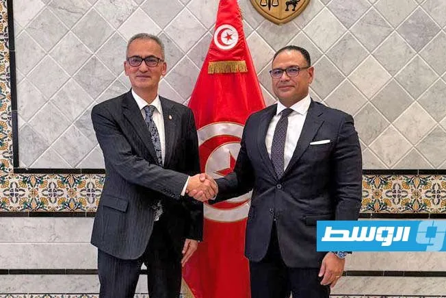 تعاون مصري-تونسي حول القضية الفلسطينية وأزمة غزة تعاون مصري-تونسي حول القضية الفلسطينية وأزمة غزة