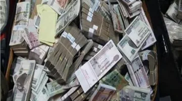 تفاصيل تهمة غسل 15 مليون جنيه ضد تيك توكر مصرية معروفة