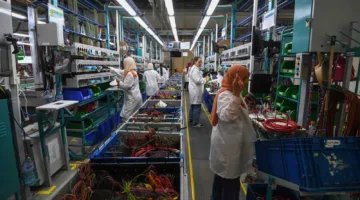 تنبؤات بارتفاع الناتج المحلي الإجمالي التونسي 3.2% وانخفاض معدلات التضخم إلى 5.3% في عام 2025.