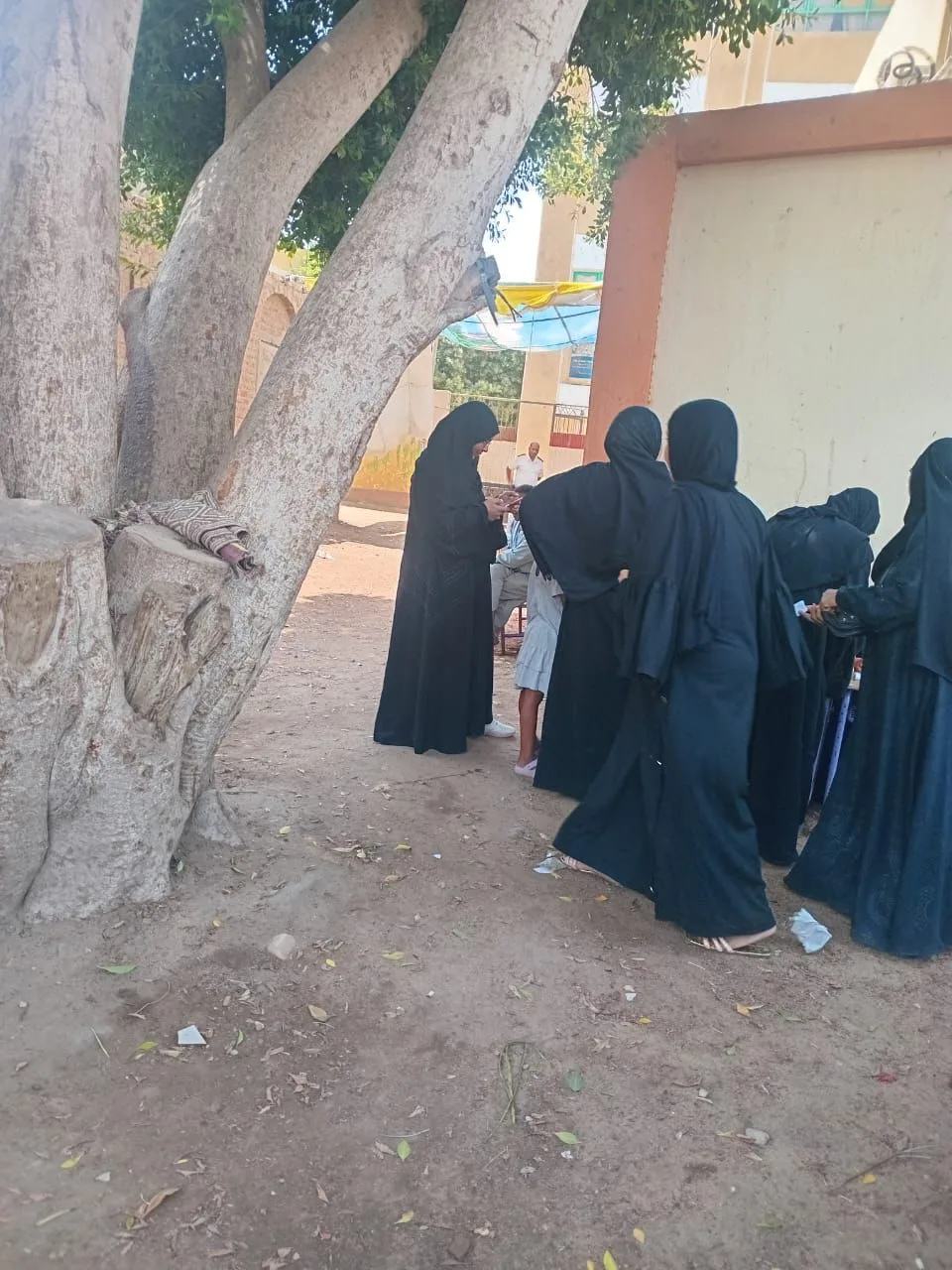 تنظيم سير العملية الانتخابية في لجان أسوان خلال اليوم الثاني من انتخابات مجلس الشيوخ 2025 تنظيم سير العملية الانتخابية في لجان أسوان خلال اليوم الثاني من انتخابات مجلس الشيوخ 2025