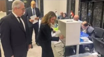 تواصل وصول أبناء الجالية المصرية في الكويت للإدلاء بأصواتهم في انتخابات مجلس الشيوخ 2025