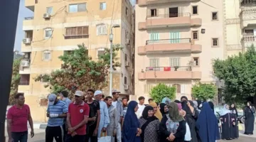 توافد كبير على لجان العبور في اليوم الثاني من انتخابات مجلس الشيوخ 2025