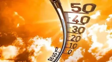 توقعات الطقس للغد: هيئة الأرصاد تحذر من تقلبات في البحر (تفاصيل)