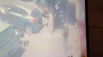 جريمة مروعة في “المهندسين”.. فيديو يوثق اللحظات الأخيرة لطفل السوبر ماركت