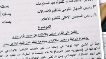 جلسة منتظرة في “المحكمة الإدارية” للنظر في القضية المتعلقة بحظر “تيك توك” في مصر