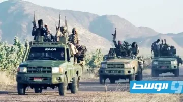 جمعية حقوقية سودانية تتهم “الدعم السريع” بارتكاب مذبحة في دارفور