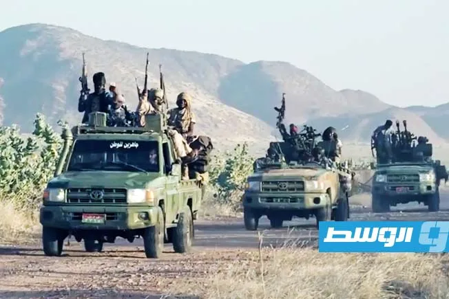 جمعية حقوقية سودانية تتهم “الدعم السريع” بارتكاب مذبحة في دارفور