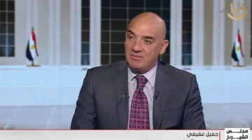 جميل عفيفي: انتخابات الشيوخ تعكس رسالة الاستقرار في أوقات الأزمات