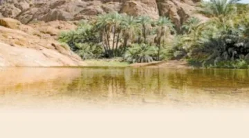 “جهاز شؤون البيئة”: المحميات الطبيعية في مصر ثروة وطنية وإرث بيئي عالمي