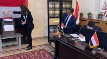 جهود البعثات المصرية في الخارج لتيسير المشاركة في انتخابات مجلس الشيوخ