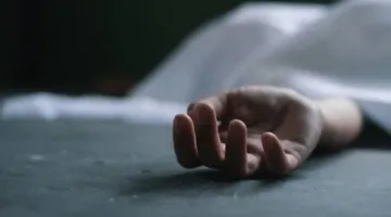حادثة مؤلمة في مصر.. سائق شاحنة يصطدم بابنه عن غير قصد