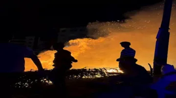 حريق في بحيرة الصيادين بالإسماعيلية وجهود لإخماده – صور