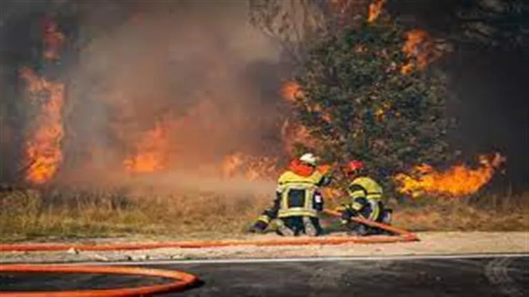 حريق كبير يدمر آلاف الفدادين والمحاصيل في جنوب فرنسا