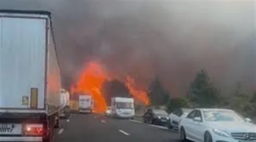 حريق هائل ي devastates 4500 هكتار من الغابات في جنوب فرنسا