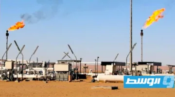 حقل الشرارة يحقق إنتاجاً قياسياً بلغ 310.9 ألف برميل من النفط.