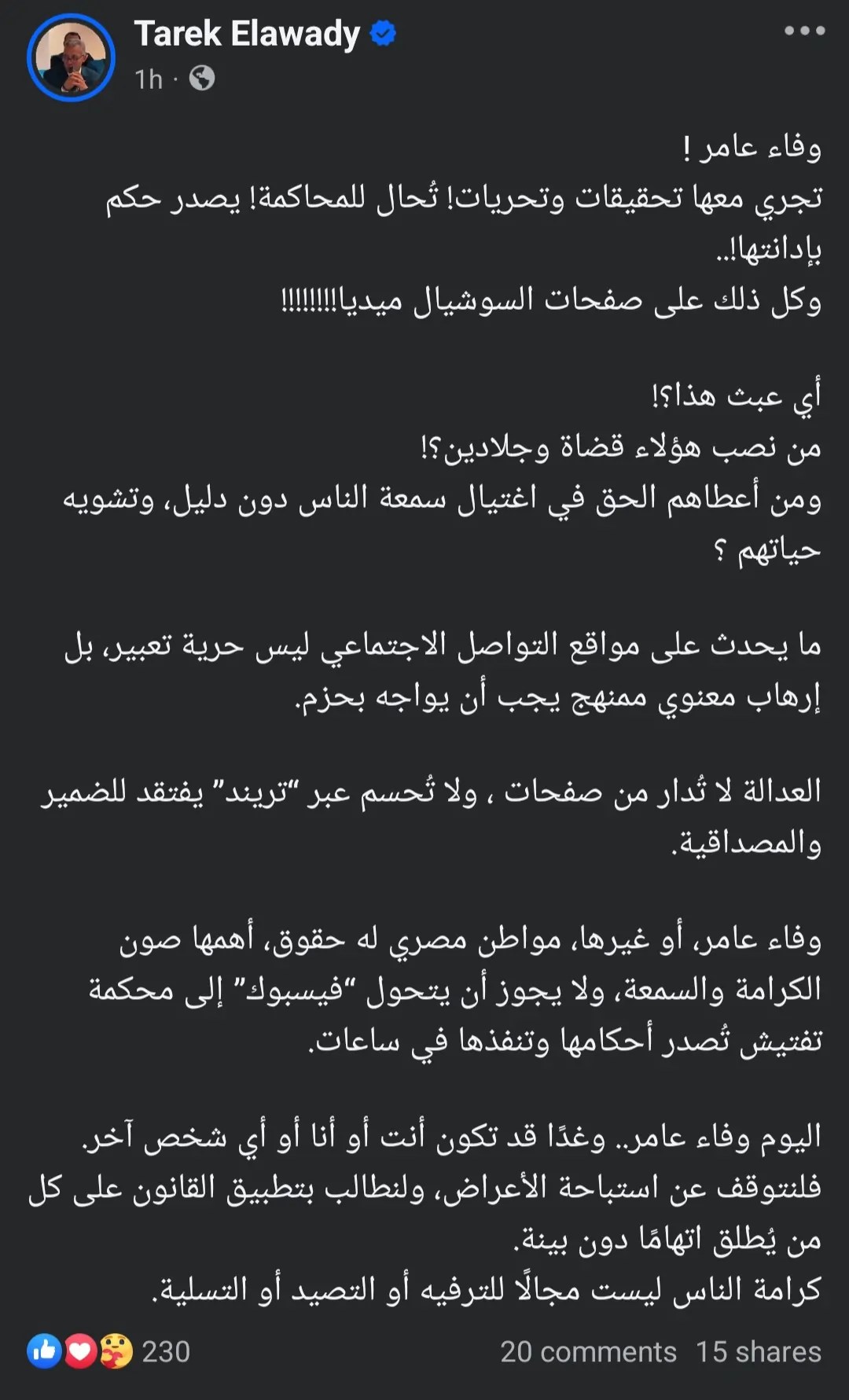 حقيقة هروب وفاء عامر