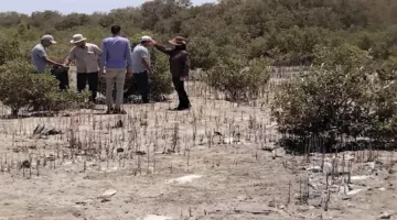 حملة لإزالة النفايات الصلبة من محمية نبق في شرم الشيخ
