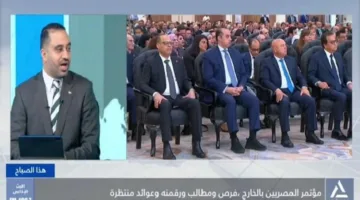 خبير: مؤتمر المصريين المغتربين فرصة لتعزيز دعم الجاليات للاقتصاد الوطني
