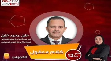خليل: الحكومة تعتمد العديد من الخطوات الضرورية لحماية حقوق أصحاب الهمم.