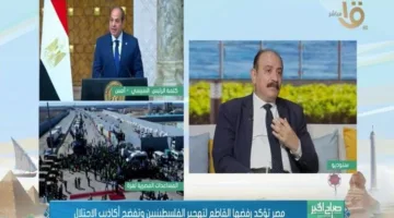 د. طارق فهمي: تصريحات الرئيس السيسي مهمة لتوضيح موقف مصر من قضية غزة