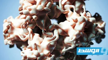 دراسة: تأثير فيروس “بيتا-HPV” المباشر في تحفيز سرطان الجلد