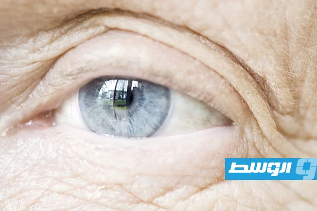 دراسة توضح الطريقة التفصيلية لظهور التجاعيد مع التقدم في السن دراسة توضح الطريقة التفصيلية لظهور التجاعيد مع التقدم في السن