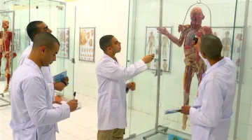 درجات القبول في كليات الطب البشري بالجامعات الحكومية المصرية: أسوان أقل بـ 5 درجات.