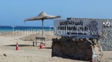رأس حنكوراب على شاطئ البحر الأحمر: بيئة طبيعية نادرة وتواجد للسلاحف الخضراء المهددة بالانقراض