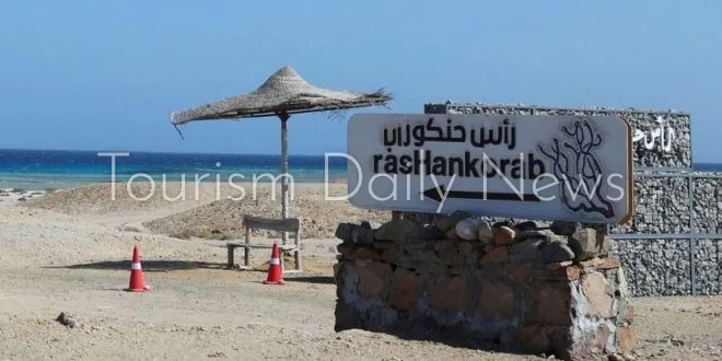 رأس حنكوراب على شاطئ البحر الأحمر: بيئة طبيعية نادرة وتواجد للسلاحف الخضراء المهددة بالانقراض رأس حنكوراب على شاطئ البحر الأحمر: بيئة طبيعية نادرة وتواجد للسلاحف الخضراء المهددة بالانقراض