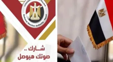 رؤساء لجان انتخابات الشيوخ: زيادة ملحوظة في الإقبال والامتثال لتوجيهات “الهيئة الوطنية للانتخابات”
