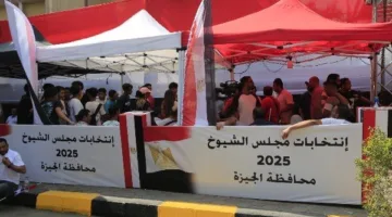رئيس الهيئة الوطنية للانتخابات: سيتم إعلان نتائج انتخابات مجلس الشيوخ يوم الثلاثاء المقبل.