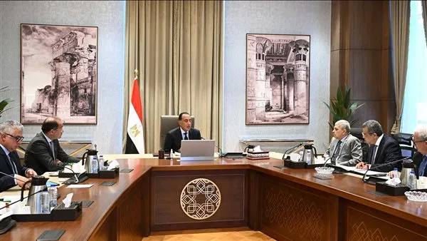 رئيس الوزراء يراقب مساعي إعادة تنظيم الهيئات الاقتصادية