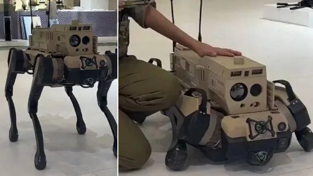 روبوتات “محاربات الذئاب” في الصين