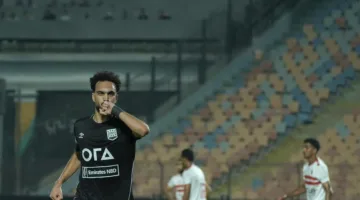 زد يعلن استقباله لأربع عروض للتعاقد مع زيكو
