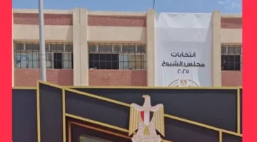 زيادة الإقبال على التصويت في لجان القاهرة الجديدة في اليوم الثاني لانتخابات مجلس الشيوخ
