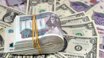 زيادة السيولة النقدية المحلية في مصر على مدار يونيو 2025 بأكثر من 23%