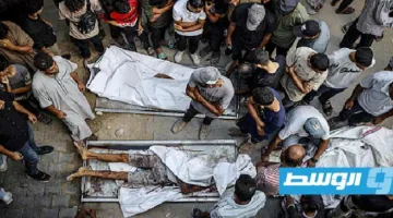 زيادة عدد الشهداء نتيجة الإبادة الإسرائيلية في غزة يتجاوز 61 ألفاً و151 ألف جريح.