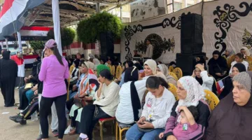 زيادة كبيرة في المشاركة في لجان الاقتراع بالدقهلية خلال اليوم الثاني من انتخابات مجلس الشيوخ 2025