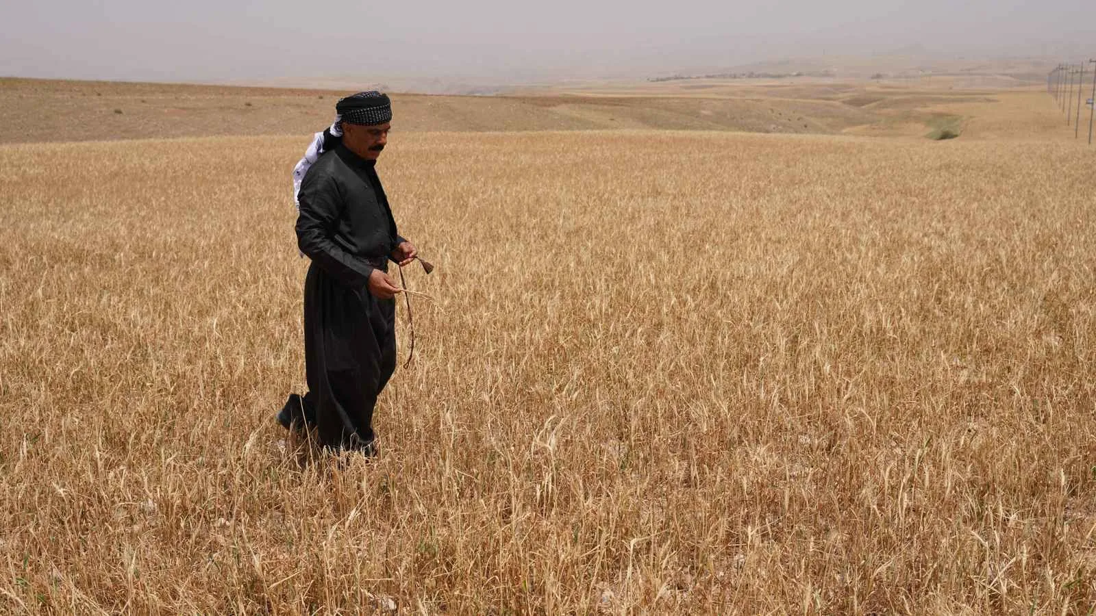 «سبتمبر خالٍ من المحاصيل».. الاقتصاد العراقي يواجه تحديات الأمن الغذائي «سبتمبر خالٍ من المحاصيل».. الاقتصاد العراقي يواجه تحديات الأمن الغذائي