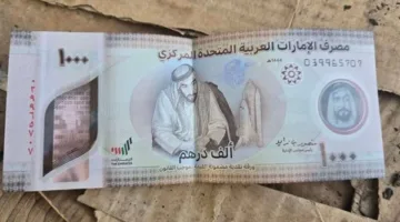 سعر الدرهم الإماراتي مقابل الجنيه في المصرف المركزي