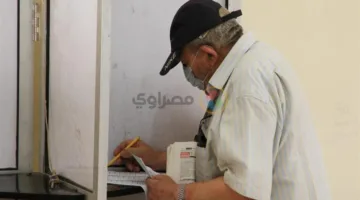سفارات مصر في “الهند وسريلانكا وبنجلاديش وكازاخستان” تتيح الفرصة للتسجيل.